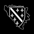 Sticker Bosnien Umriss mit Wappen