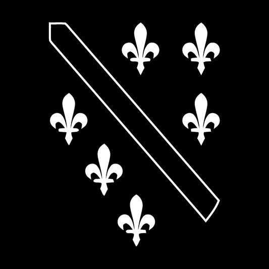 Sticker Bosnien Wappen (ohne Rand)